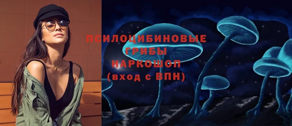 соль ск Алзамай