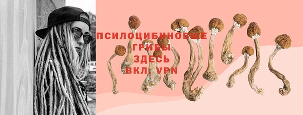 соль ск Алзамай