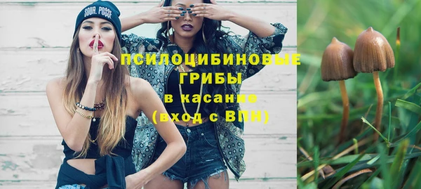 ГАЛЛЮЦИНОГЕННЫЕ ГРИБЫ Алексин